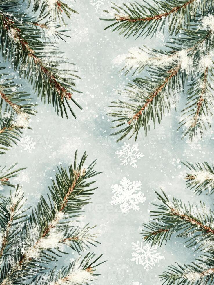 Evergreen Branches and Snowflakes Winter Holiday Background with a Festive Feel photo