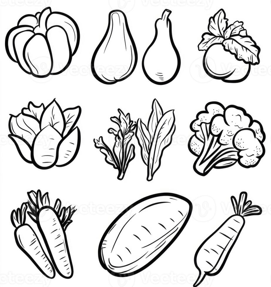 Line Art Vegetable Collection Fresh Food Outline Drawing for Menu Design photo