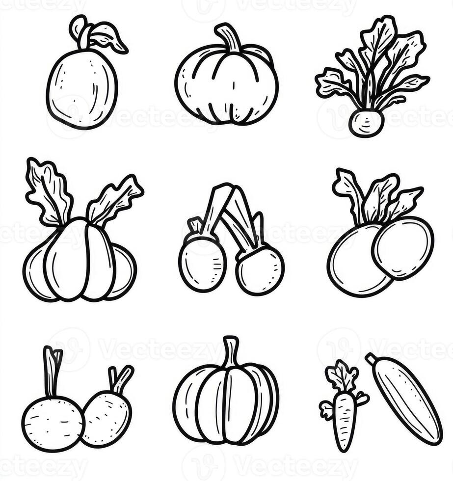 Vegetable Doodle Collection Pumpkin Radish Carrot Onion Garlic Beetroot Drawing photo