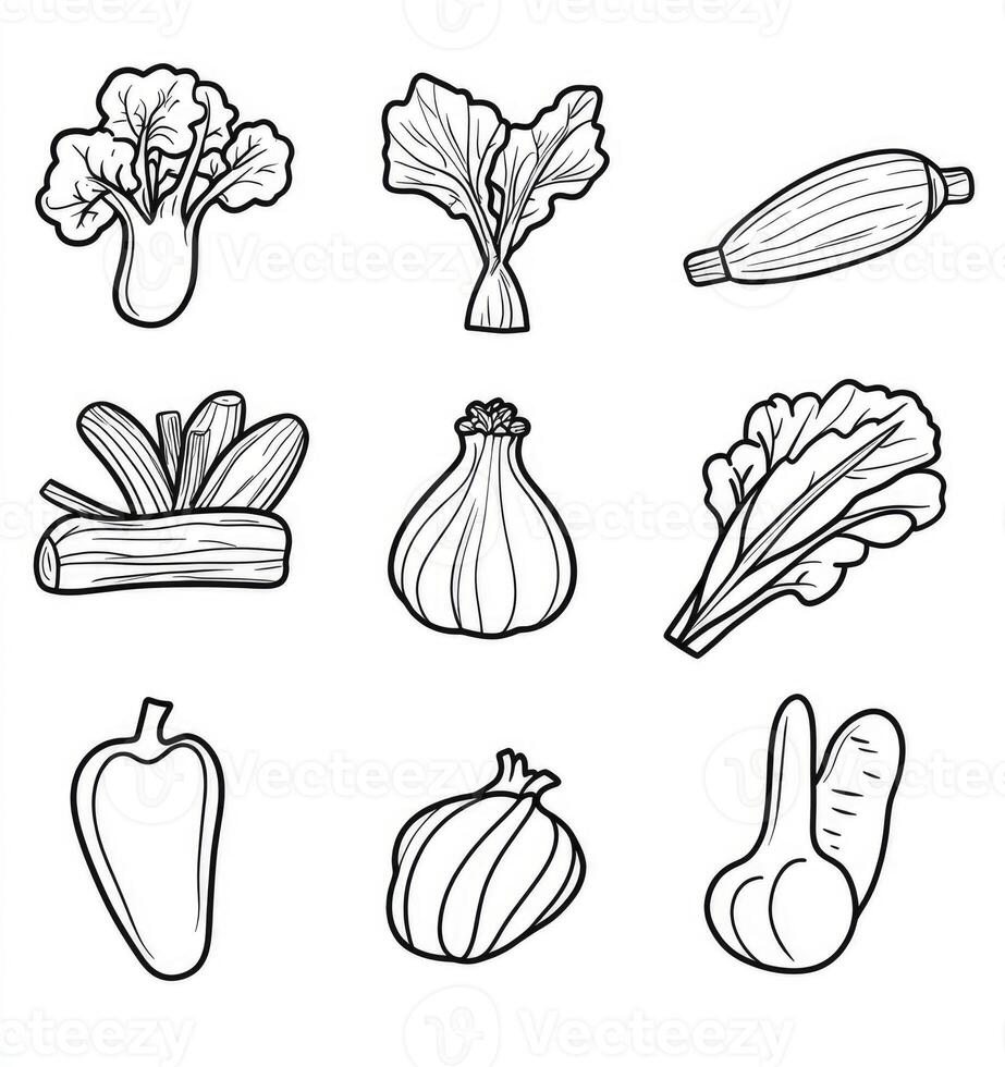 Vegetable Collection Line Art Drawing of Fresh Food Ingredients photo