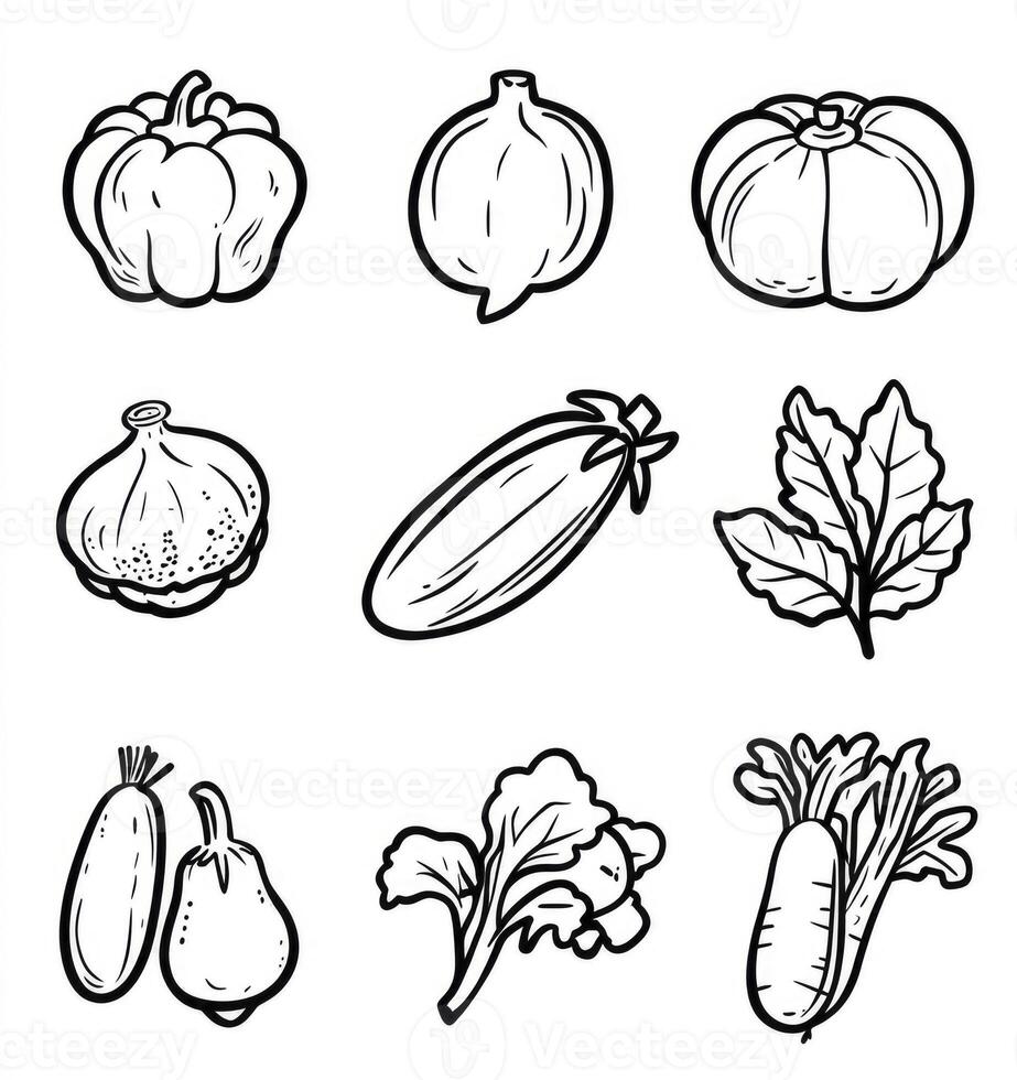 Line Art Vegetables Graphic Set with Pumpkin Onion Eggplant and Lettuce photo