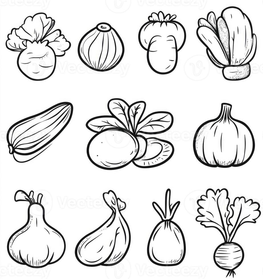 Doodle Style Vegetable Icons in Black and White Line Art photo