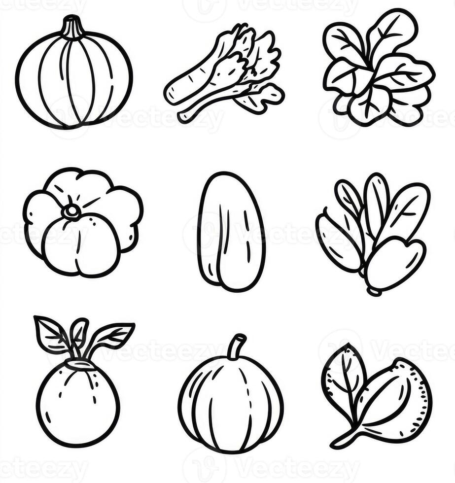 Collection of Line Art Fruits and Vegetables Perfect for Recipe Illustrations photo