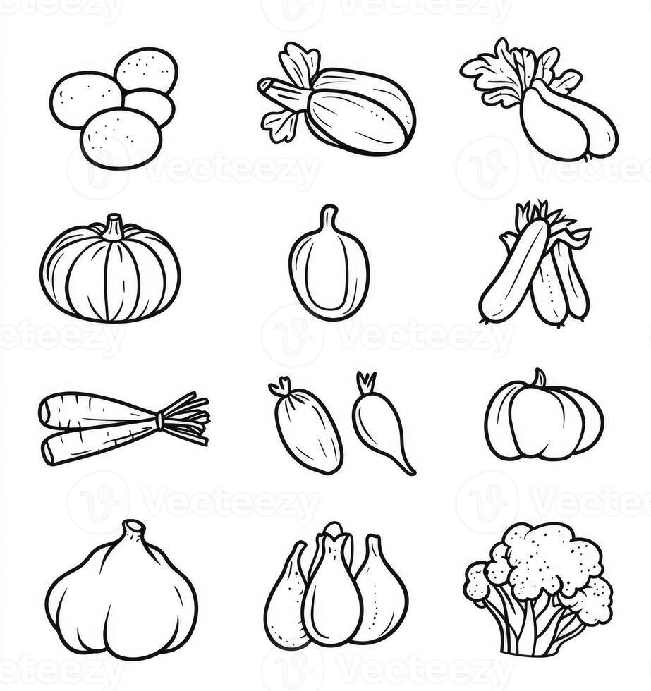 Assorted Vegetables Outline Collection Potatoes Pumpkin Zucchini Carrots Garlic Broccoli photo