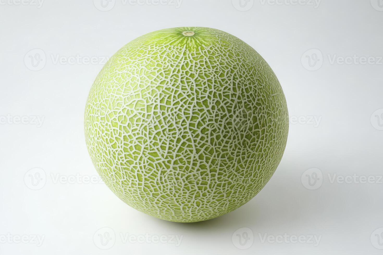 Cantaloupe Melon on White Background Displaying Textured Rind and Vibrant Color photo
