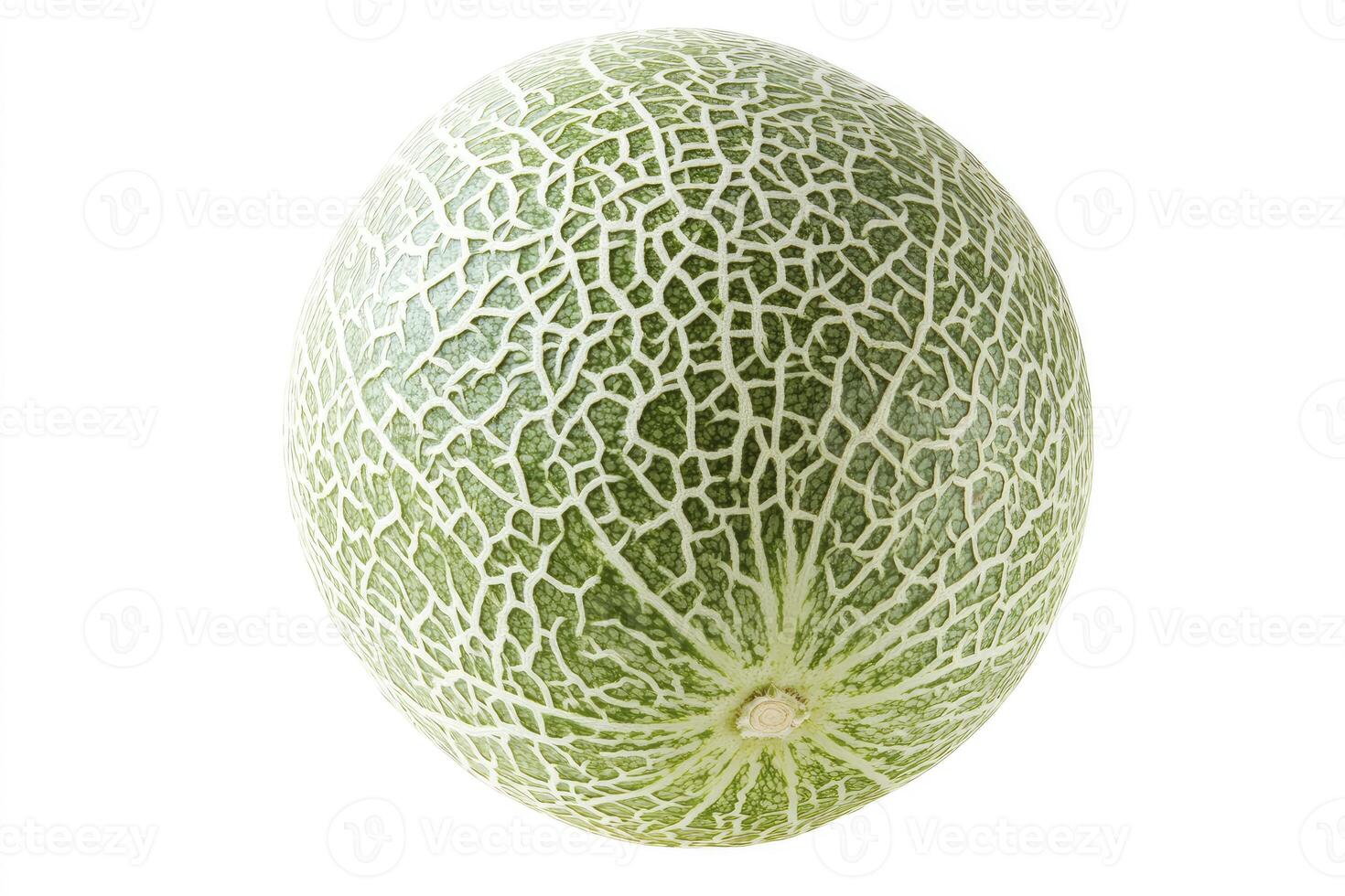 Close-up of a Honeydew Melon with Green Skin on White Background photo