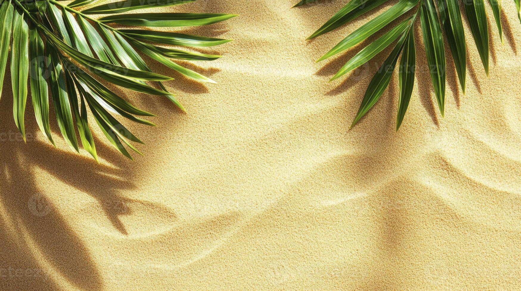 Relaxing Sandy Beach Background with Palm Leaves Casting Shadows photo