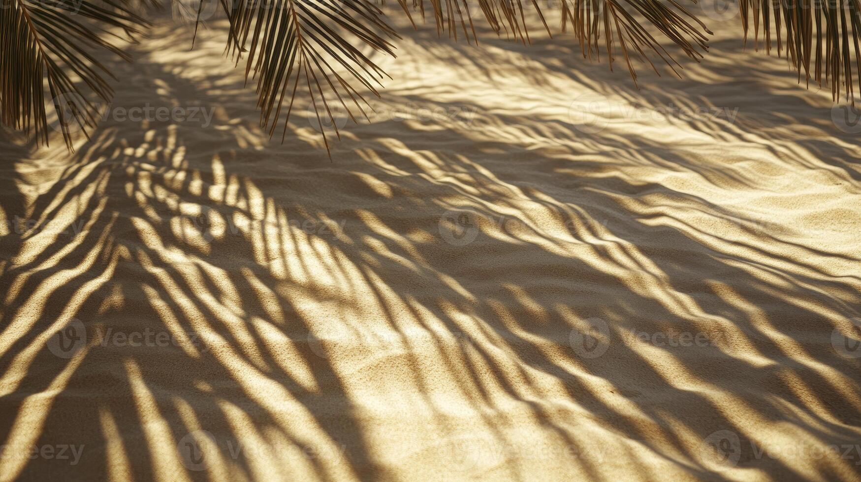 Palm Frond Shadow on Beach Sand Creates a Tropical Vacation Feel photo