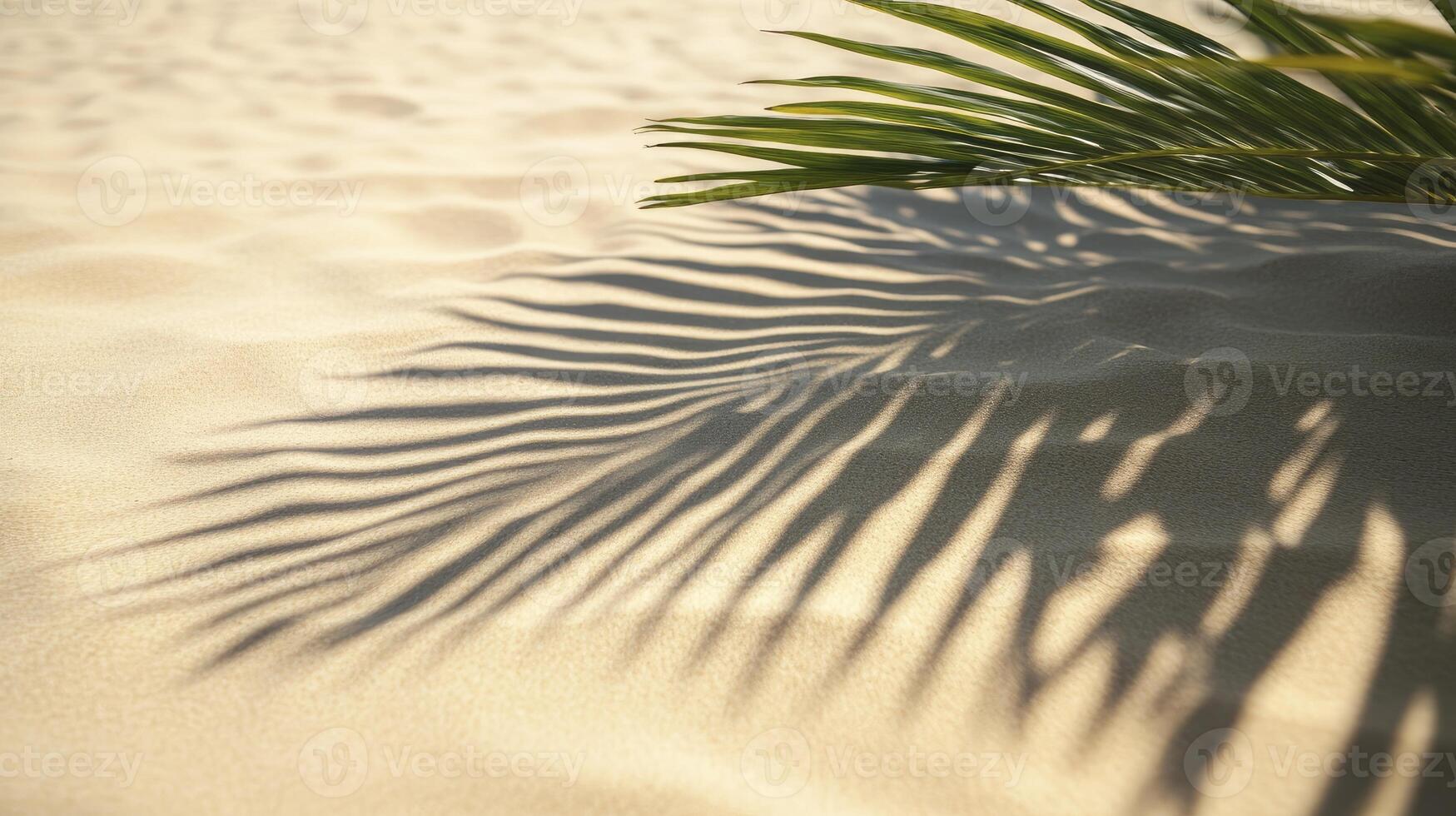 Palm Leaf Casting Shadows on Sand Creates Tranquil Beach Scene photo