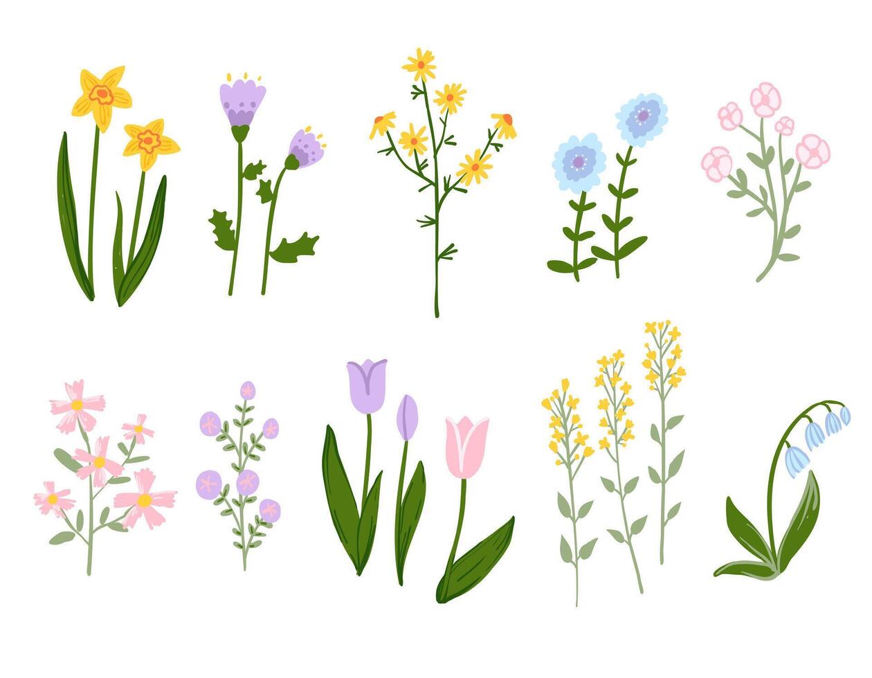 Illustration of various wildflowers and spring blossoms in pastel colors. A beautiful botanical collection perfect for decorations, patterns, and design vector