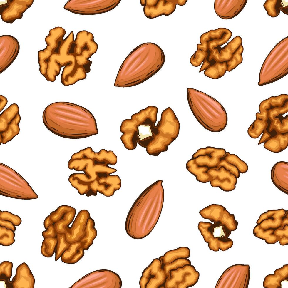 Nuts seamless pattern. Walnuts Almond background. Organic food concept. Nuts pattern for fabric, packaging, coffee and bakery shops. Hand Drawn illustration. vector