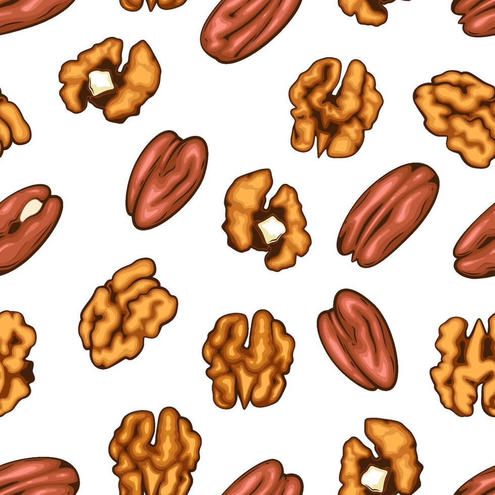 Nuts seamless pattern. Walnuts Pecan background. Organic food concept. Nuts pattern for fabric, packaging, coffee and bakery shops. Hand Drawn illustration. vector