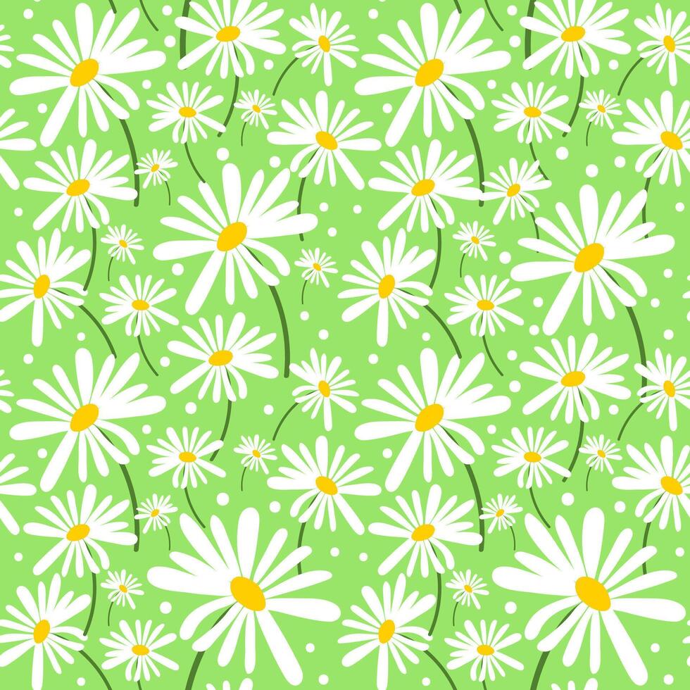 Seamless bright spring or summer floral pattern. Background with small plants, daisy or chamomile flowers, steams. vector