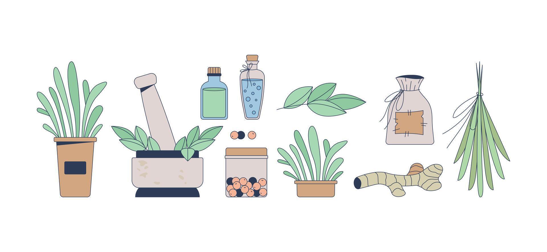 Herbal medicine and natural remedies 2D cartoon objects set. Herbs, essential oils, mortar pestle, spices dried plants isolated elements flat clip arts on white. Spot illustrations collection vector