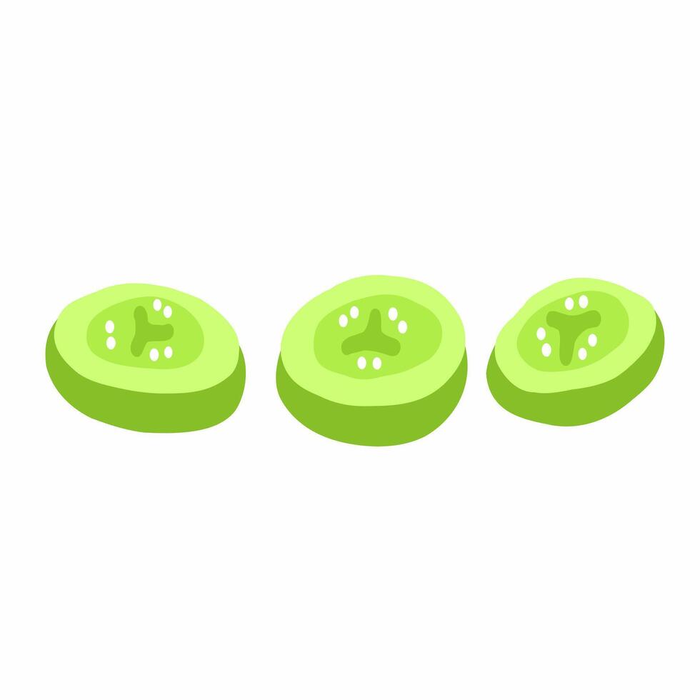 Three slices of green cucumbers are shown on a white background vector