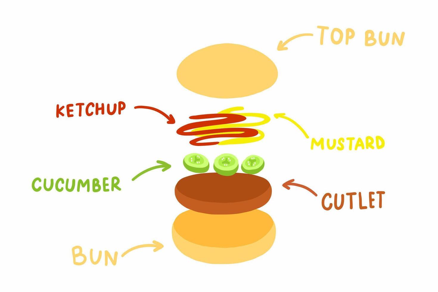 A diagram of a hamburger with different ingredients vector