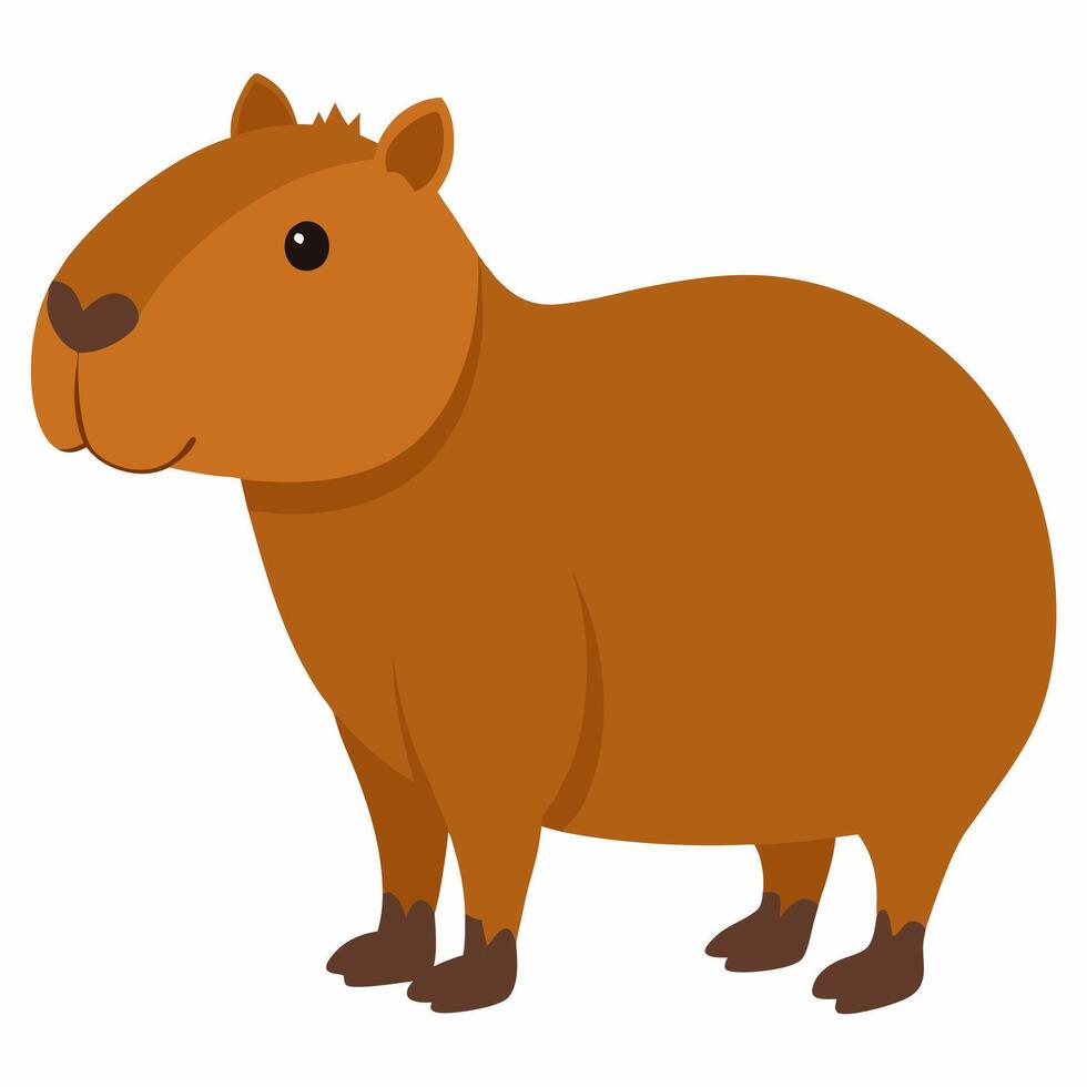 Cartoon capybara . Exotic rodent. Suitable for children's books, sticker,mascot, logo. Illustration animal on white background vector