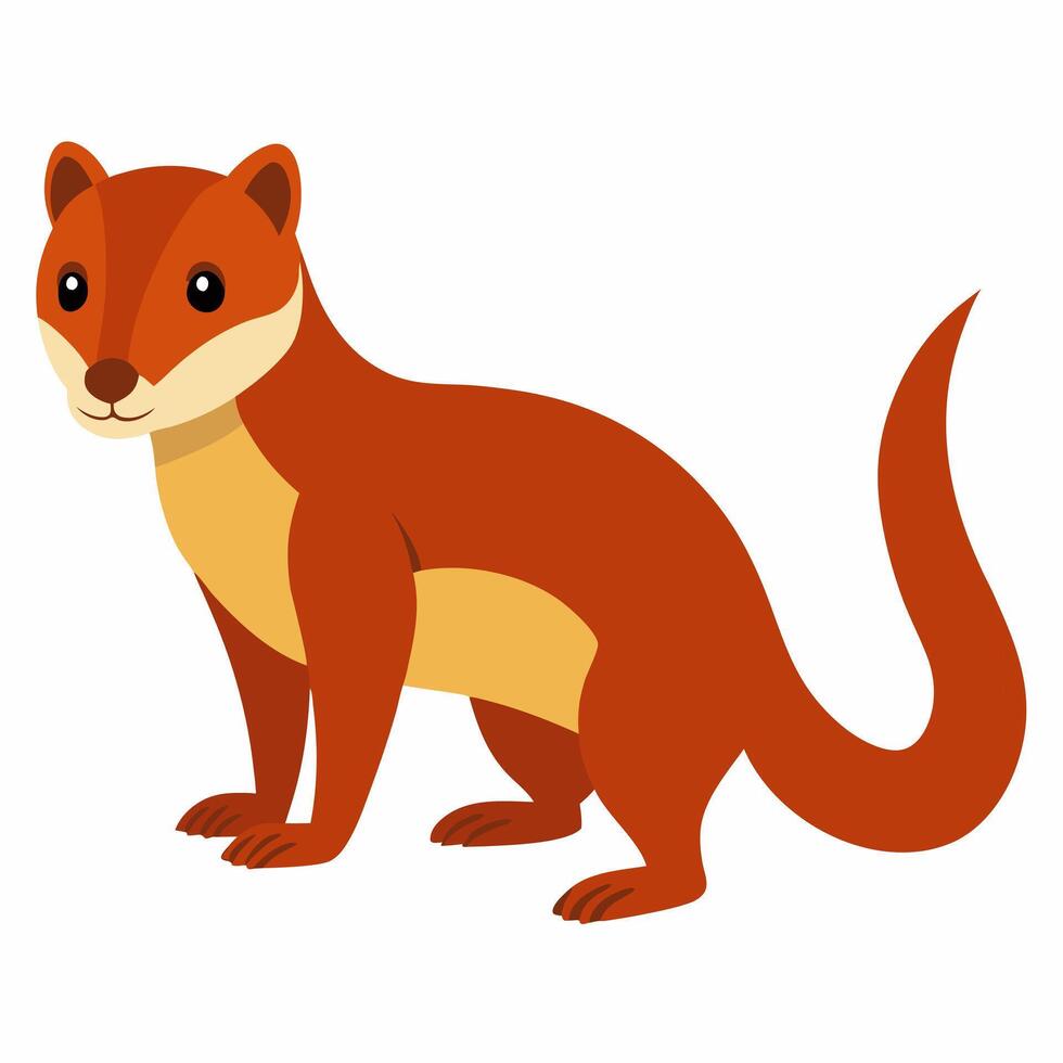 Cartoon Mongoose. A cartoon predator with a long tail and a long neck Suitable for children's books, sticker,mascot, logo. Illustration animal on white background vector