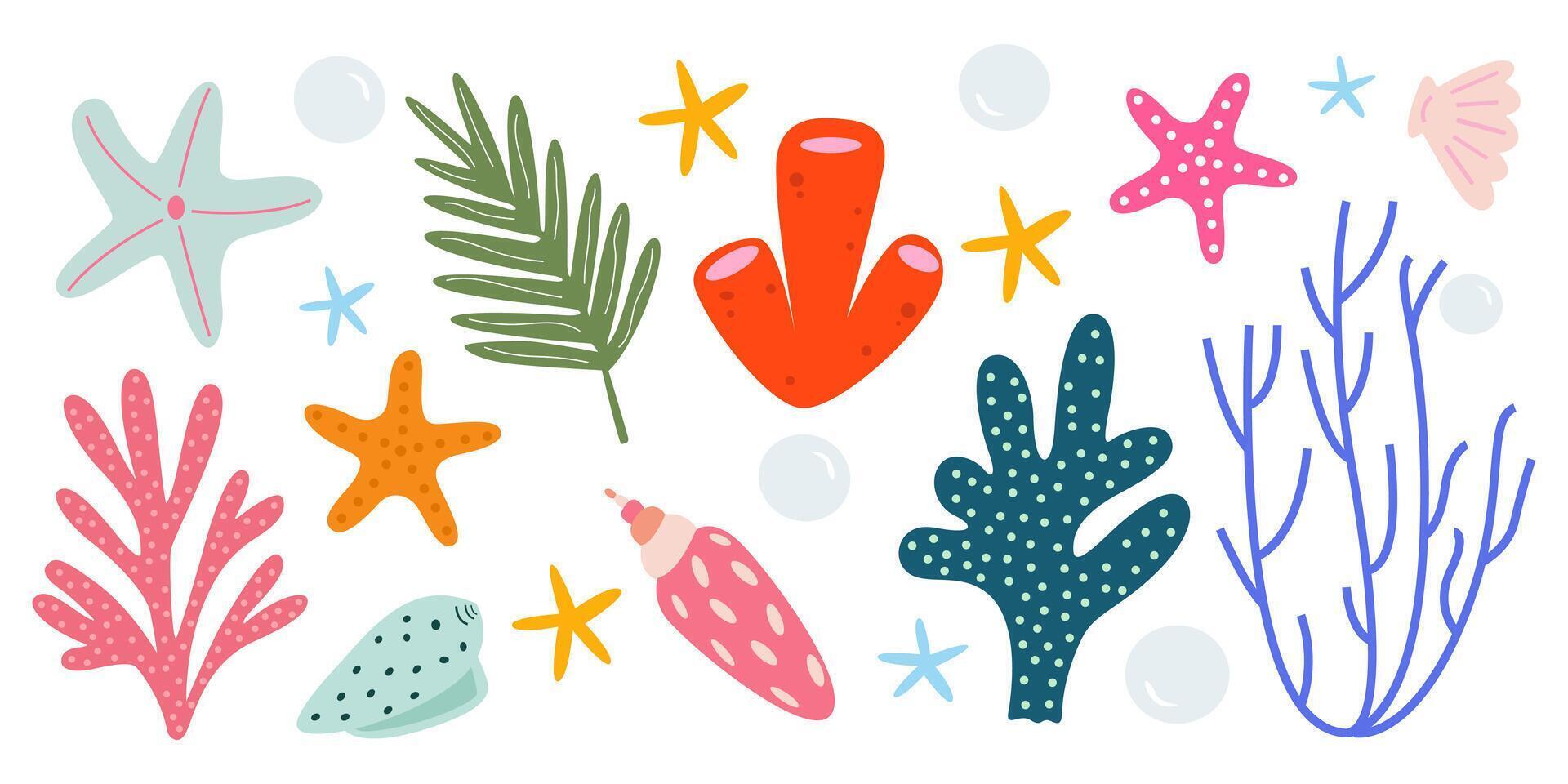 Sea shells cartoon collection, mollusks, corals, algae, starfish. Underwater reef flora illustration icons set. Marine life vector