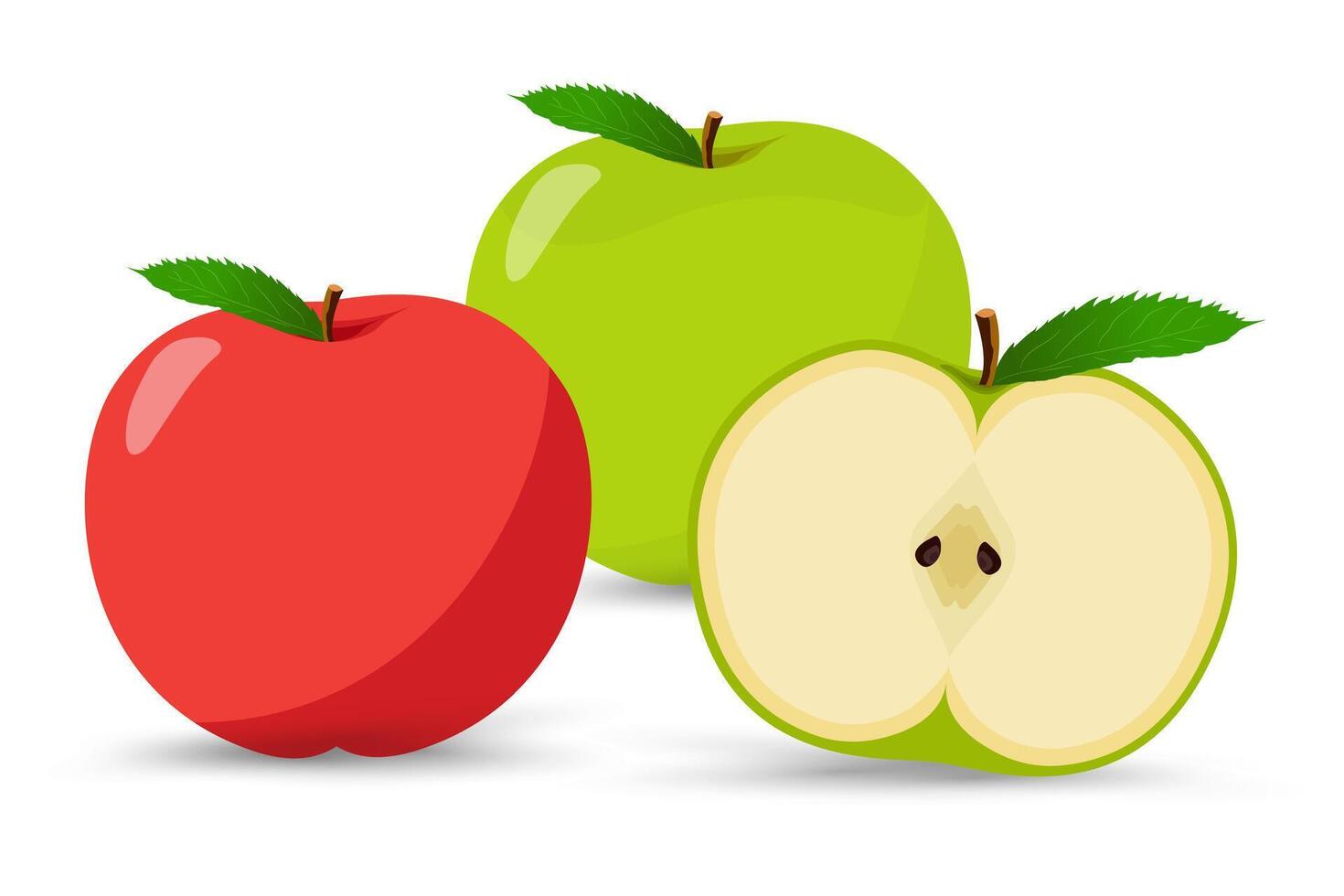 A shiny red apple, a fresh green apple, and a sliced green apple showing its creamy interior and seeds. Each apple has a bright green leaf, adding a touch of freshness vector