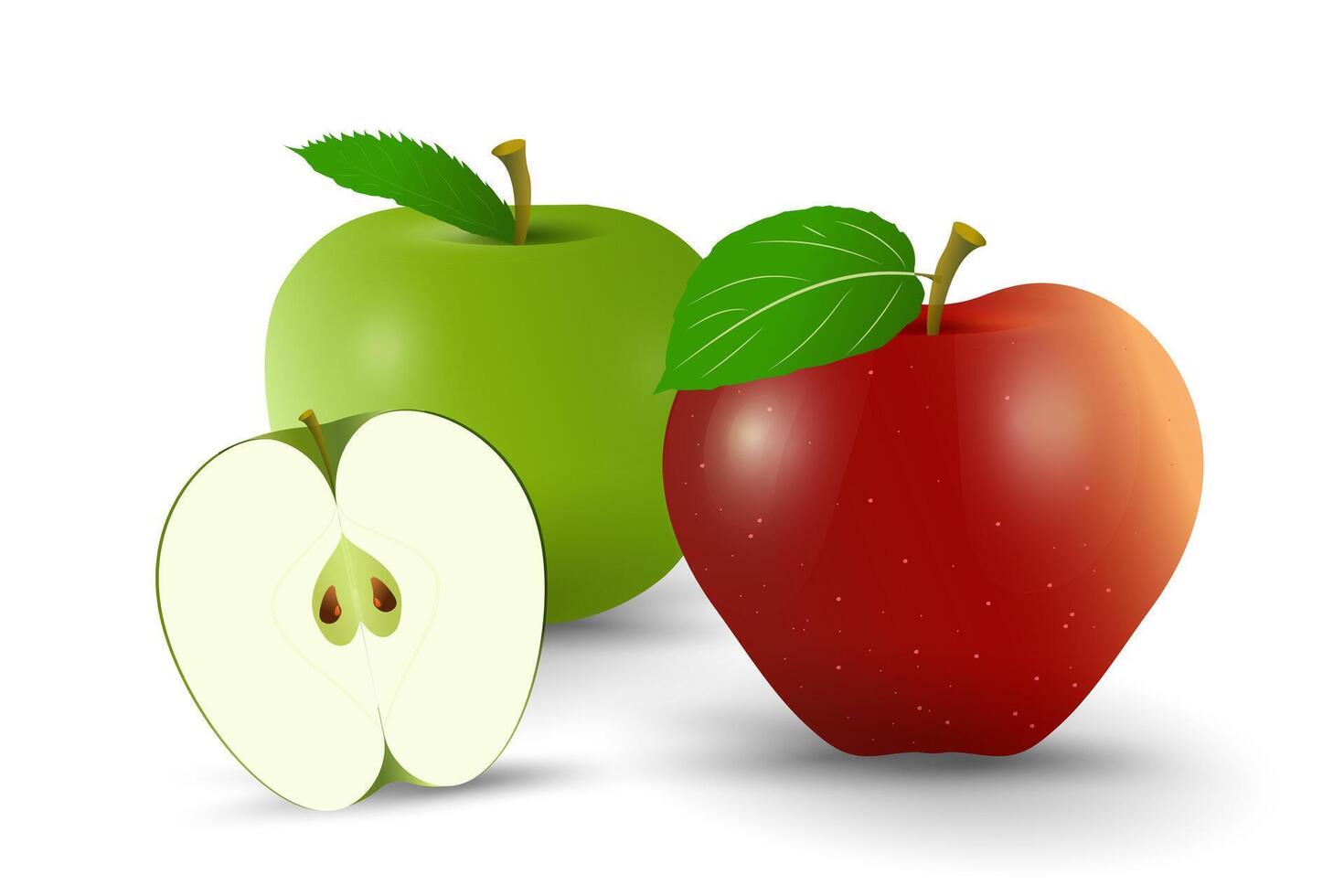 Two fresh red and green apples with one half sliced green apple in smooth surface and a single green leaf attached to its. Group of juicy apples, realistic 3d vector