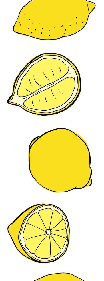 Lemons cut and whole seamless vertical border. Citrus lemons line graphic ink art. art for food design, recipe, cook book, packages, menu, food ads and decor vector