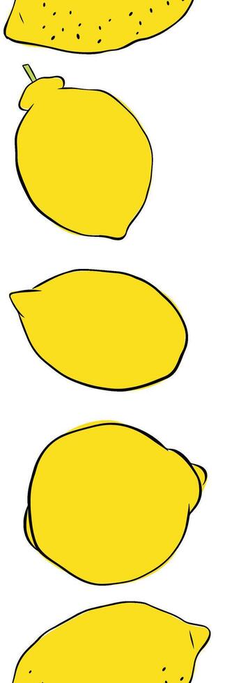 Lemon whole fruit seamless vertical border isolated on transparent background. graphic line ink illustration. art for food design, recipe, cook book, packages, menu, food ads and decor vector