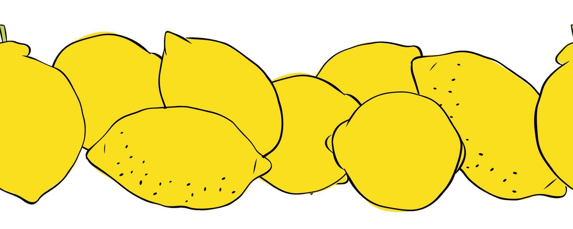 Lemons citric fruits seamless horizontal border. Hand drawn graphic line ink illustration. art for food design, recipe, cook book, packages, menu, food ads and decor vector
