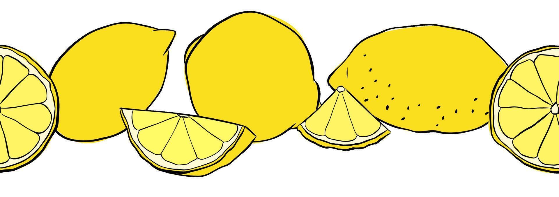 Lemons citric fruits whole and slices seamless horizontal border. Hand drawn graphic line ink illustration. Ideal for menu, package, cosmetic, textile, cards vector