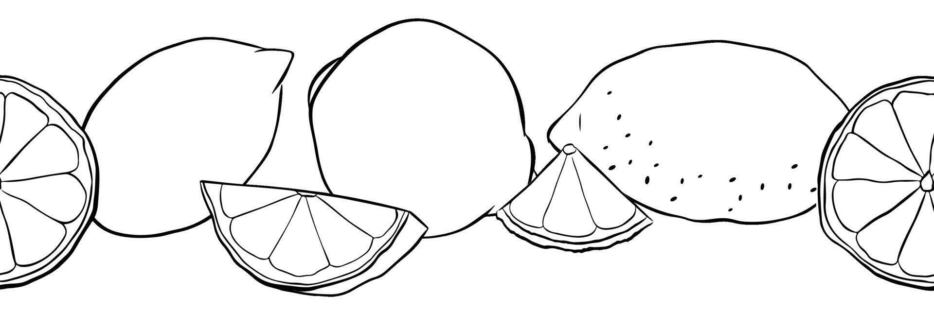 Lemons citric fruits whole and slices seamless horizontal border. Black and white Hand drawn graphic line ink illustration. Ideal for menu, package, cosmetic, textile, cards vector