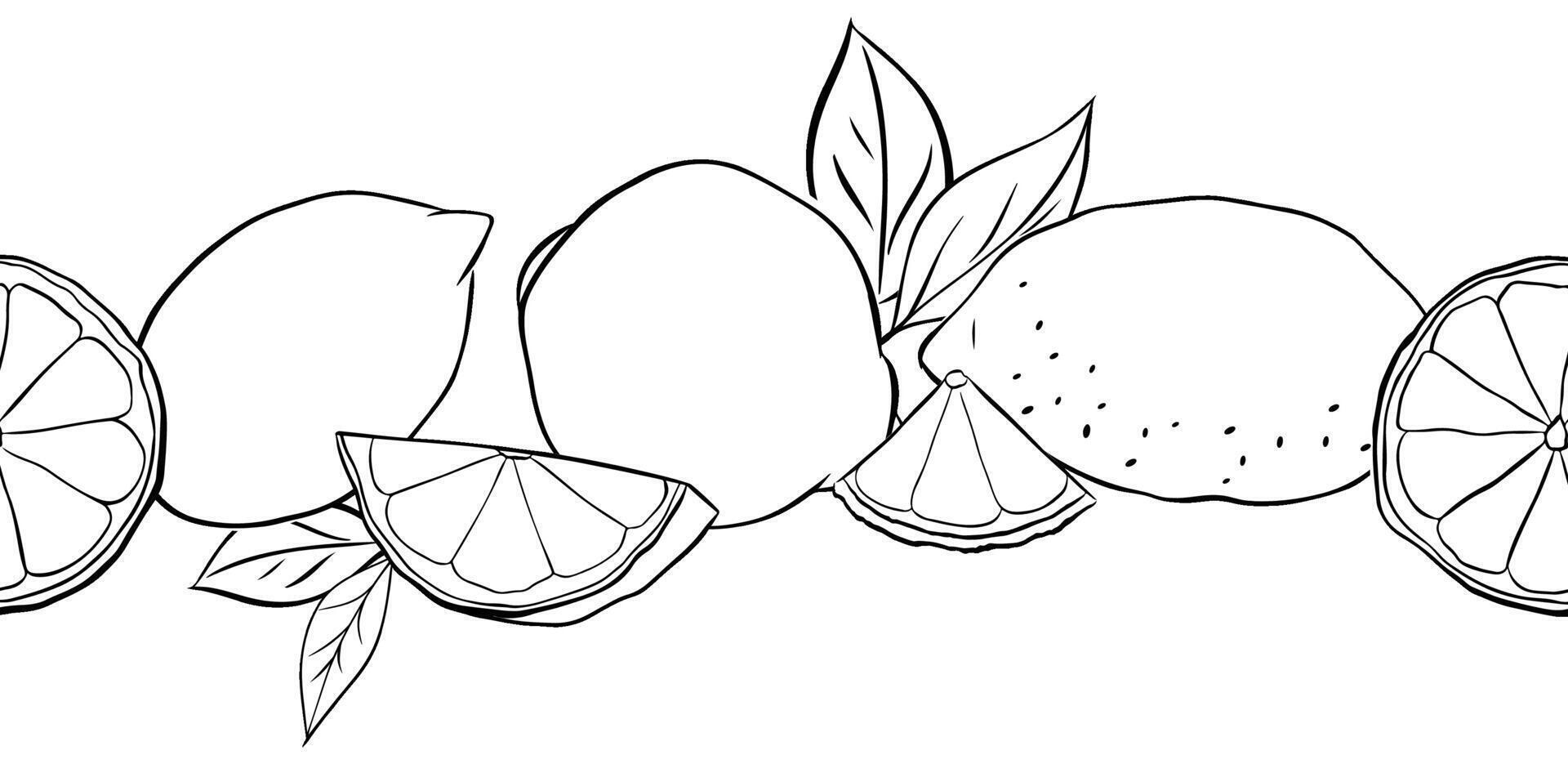 Lemons whole, slices and leaves horizontal seamless border background. Black and white graphic line ink illustration. Design for menu, package, cosmetic, textile. vector
