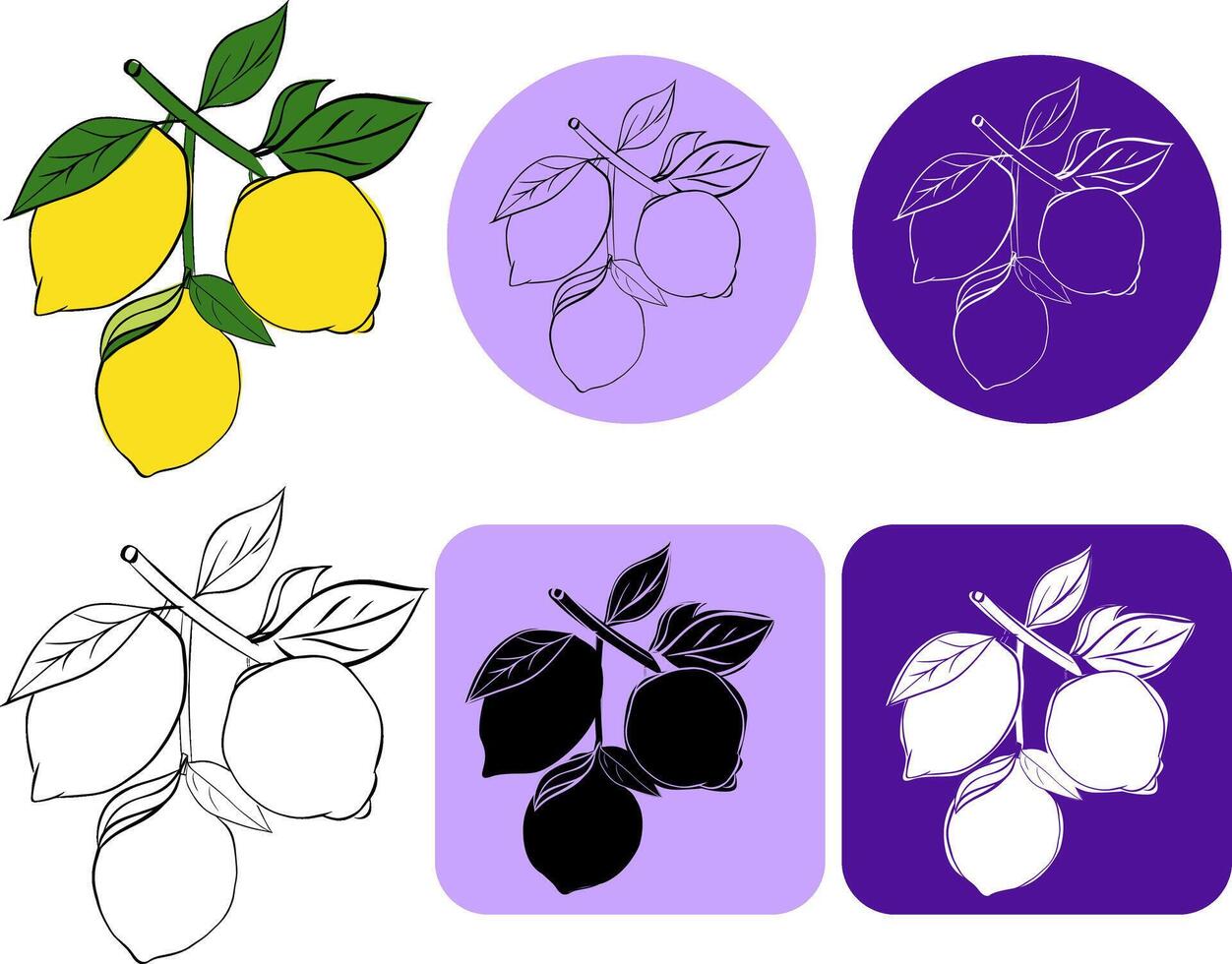 isolated lemon tree brunch with lemons logo. Graphic line ink illustration colorless black and white contour line easy drawing for you business, web, package, sticker, prints vector