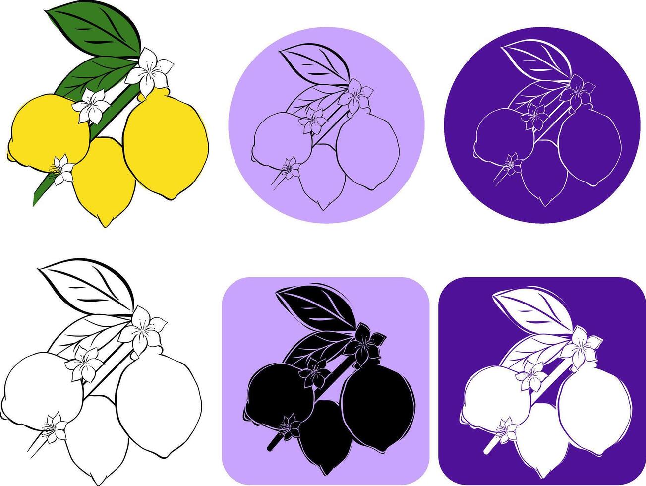 Contour of branch with fruits of citrus fruit lime or lemon, hand drawn sketch logo , isolated, white background. graphic line ink illustration vector