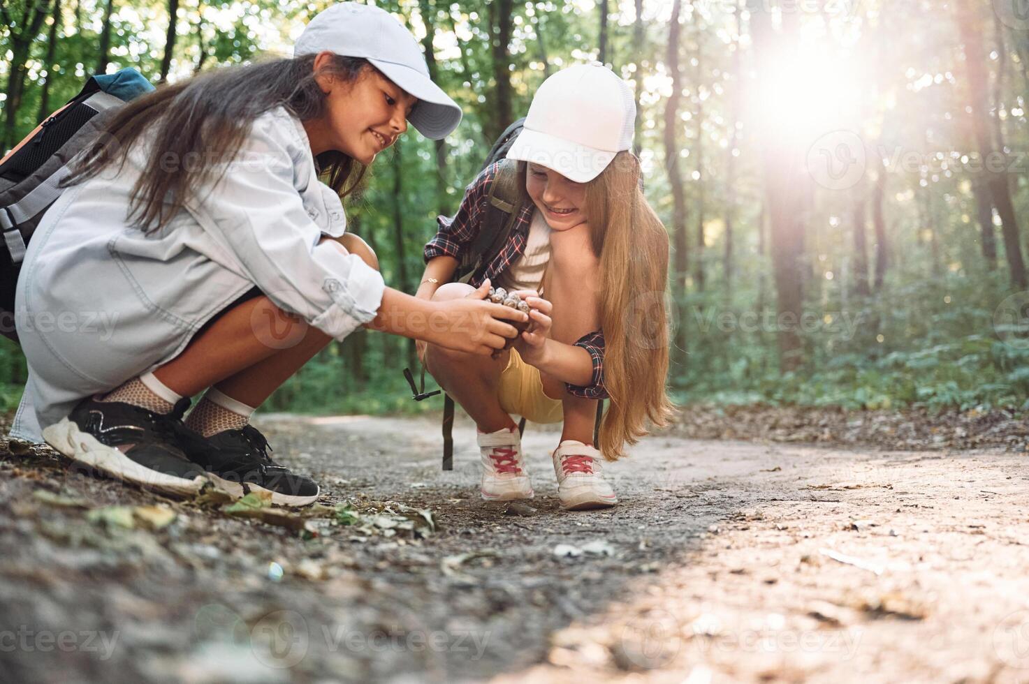 Looking at conifer cone..Two girls is in the forest having a leisure activity, discovering new places photo