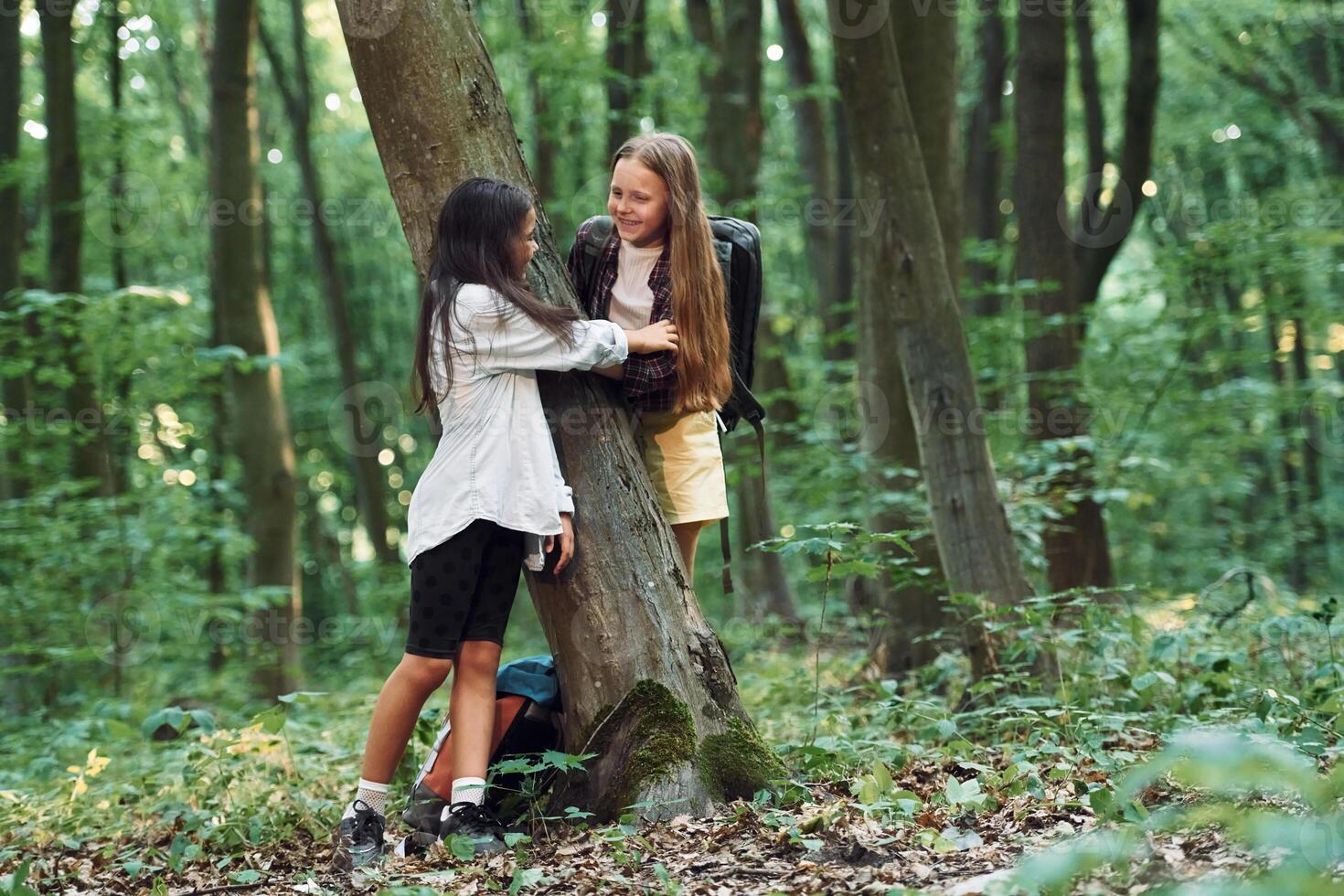 Standing and looking at each other. Two girls is in the forest having a leisure activity, discovering new places photo