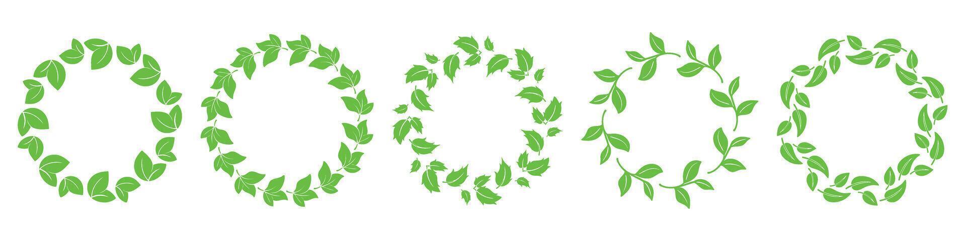 Simple round frames of young green leaves set vector