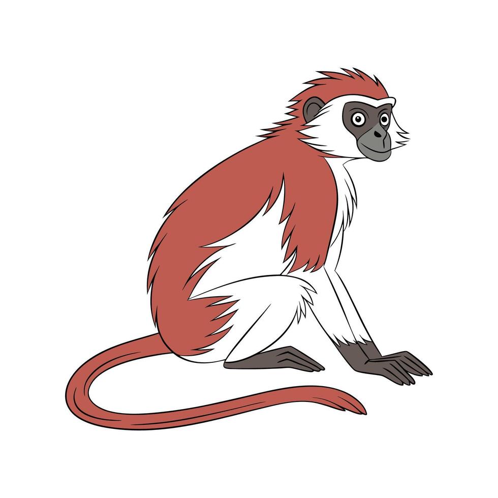 Western Red Colobus in Natural Habitat vector