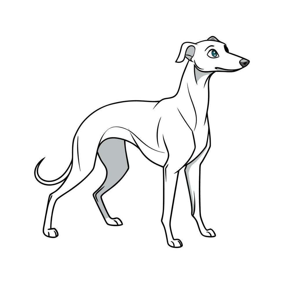 Whippet in Natural Setting vector