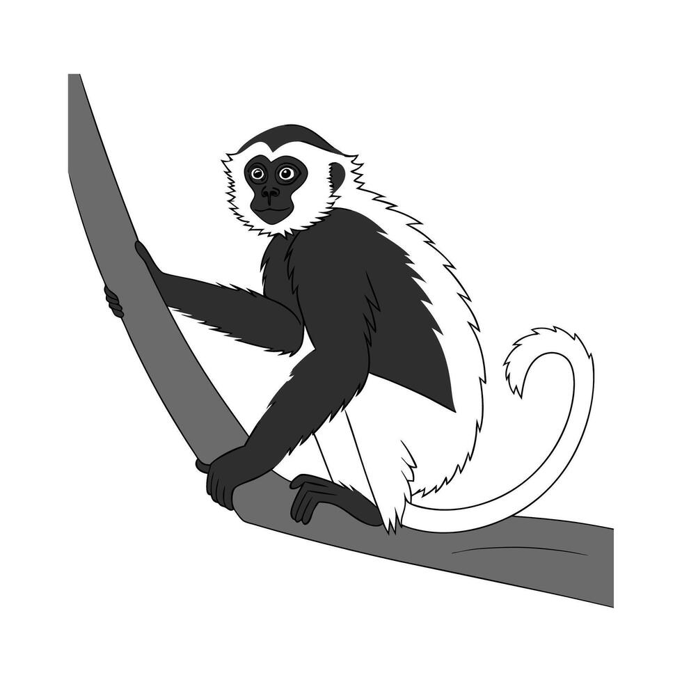 WhiteCheeked Gibbon on White vector