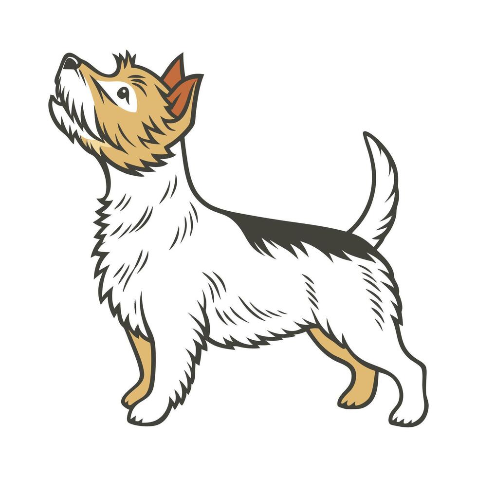 Yorkshire Terrier on White vector