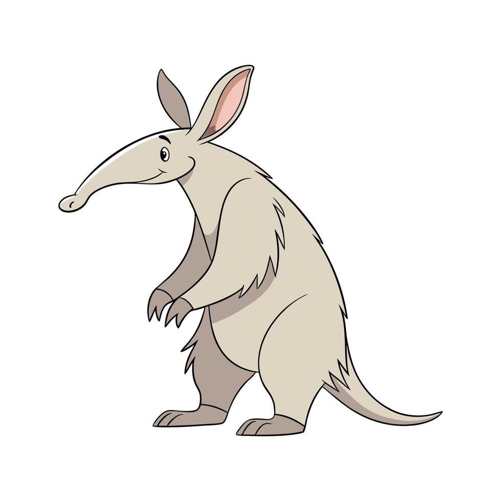 Aardvark Illustration on White Background vector