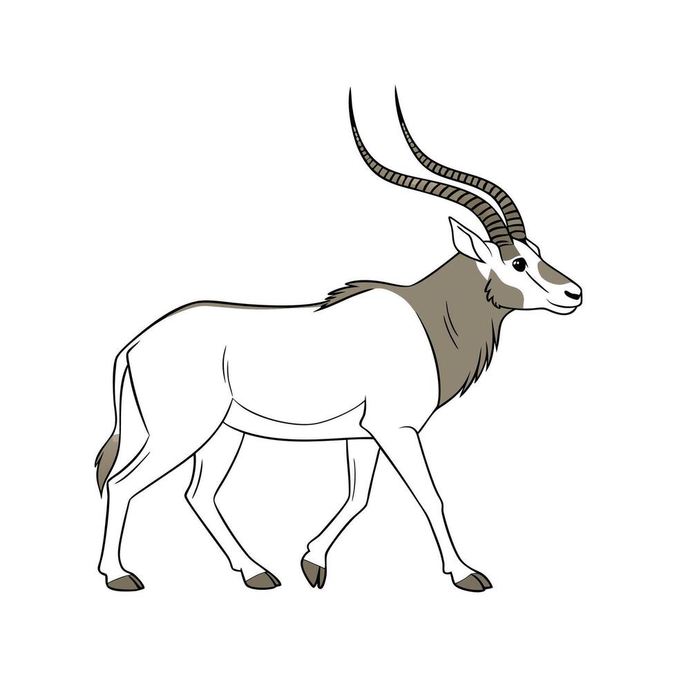 Charming Addax Illustration on White vector
