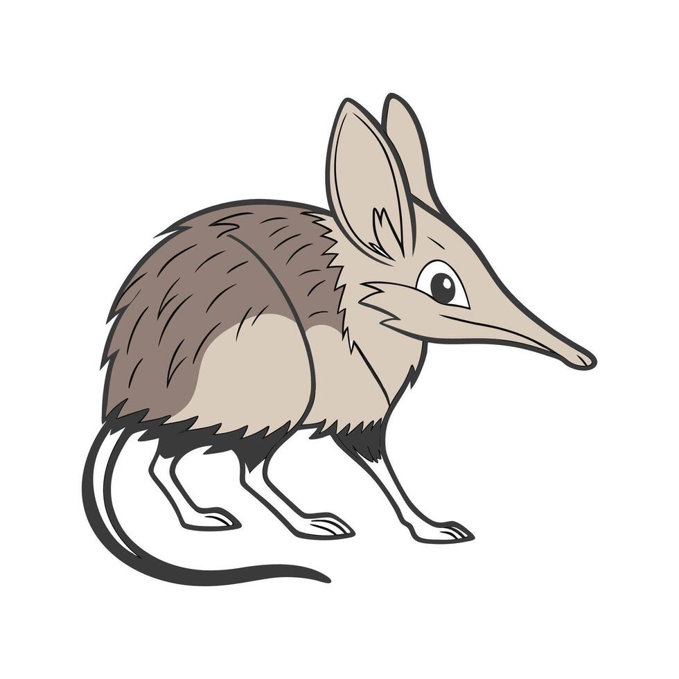 Playful African Elephant Shrew Graphic vector