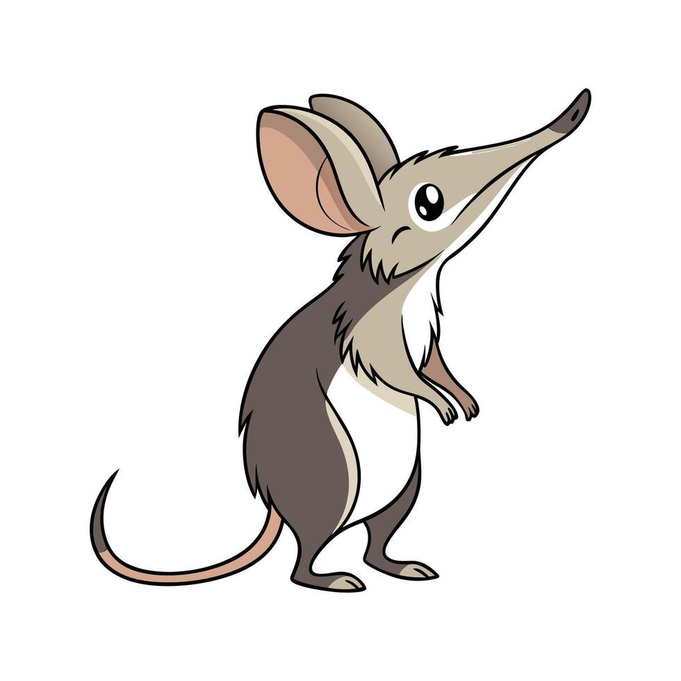Stylish African Elephant Shrew on White vector