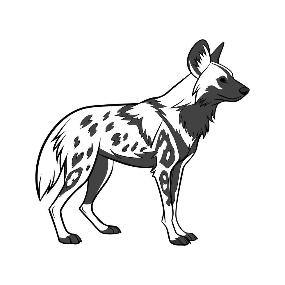 Unique African Wild Dog on White vector