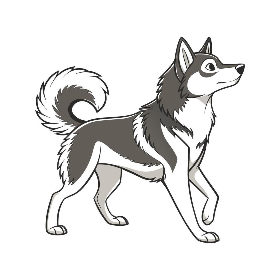 Adorable Alaskan Klee Kai Design vector