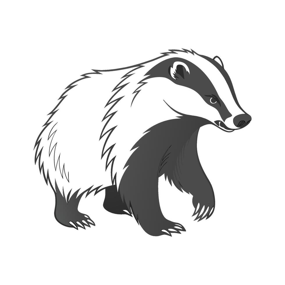 Adorable American Badger Graphic vector