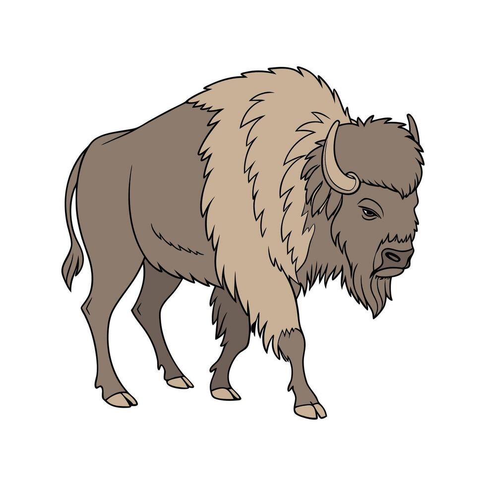 Stylish American Bison Illustration vector