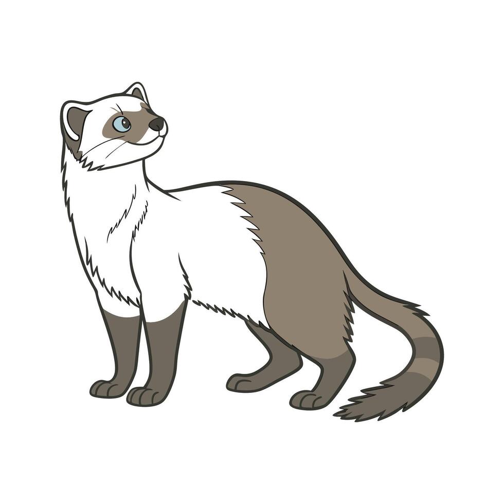 Charming American Bobtail Graphic vector