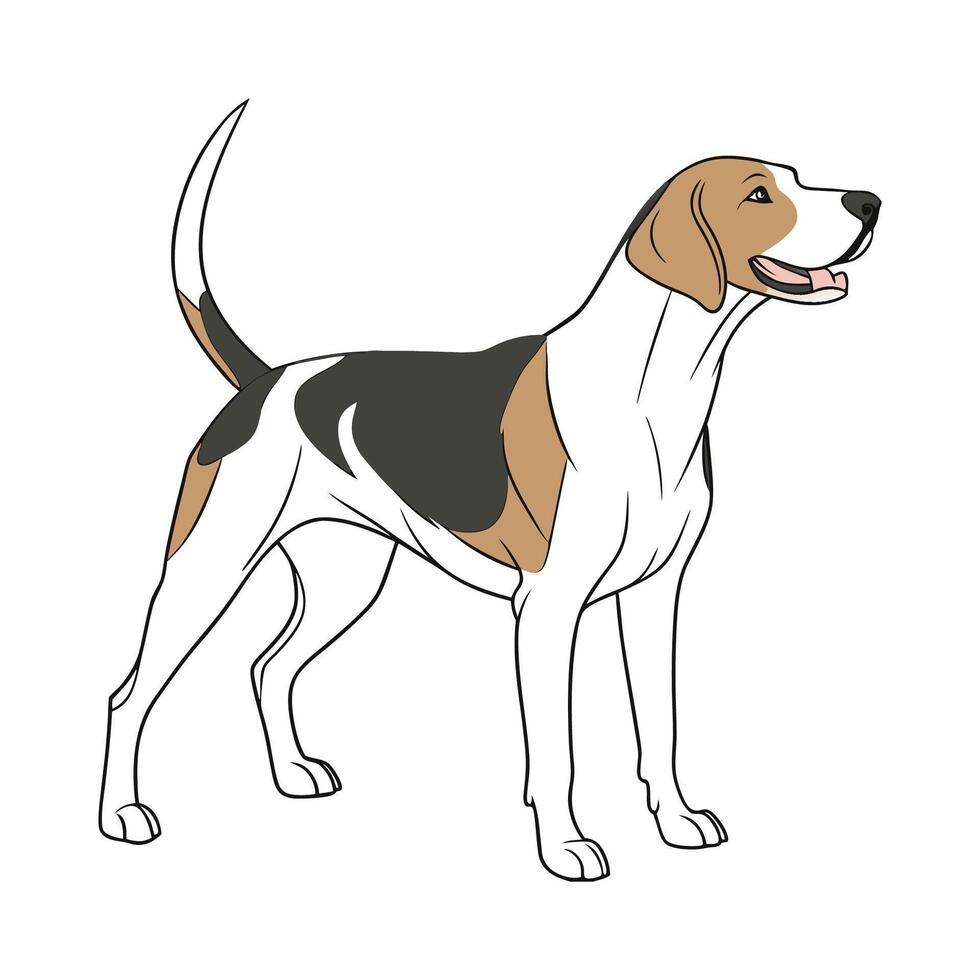 Adorable American Foxhound Graphic vector